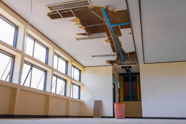 Best Water damage mitigation services  in Kennett, MO