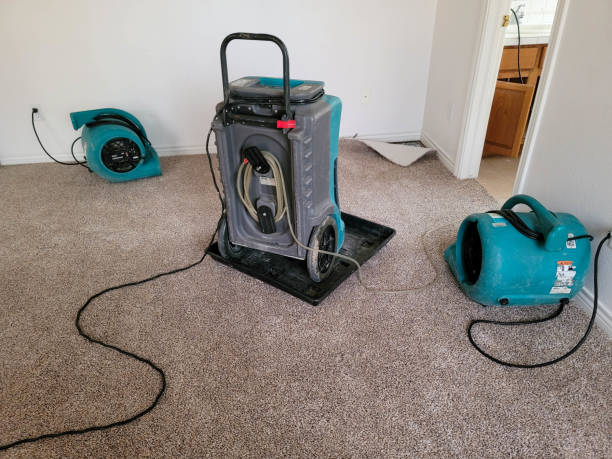 Trusted Kennett, MO Water damage restoration Experts