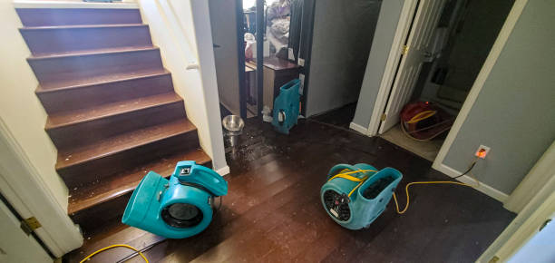 Best Water damage restoration near me  in Kennett, MO