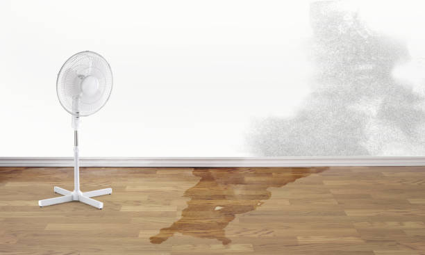  Kennett, MO Water damage restoration Pros