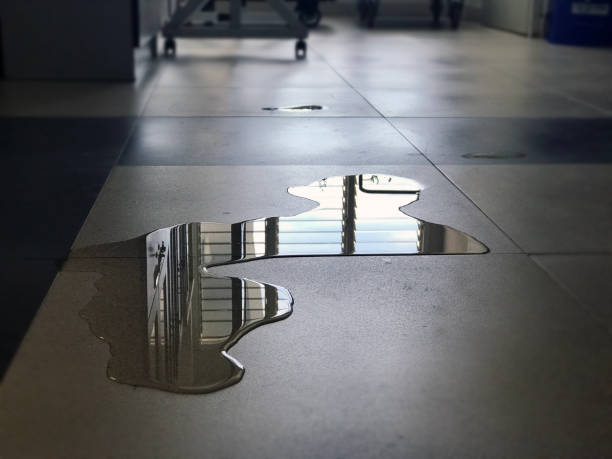 Best Water damage restoration near me  in Kennett, MO