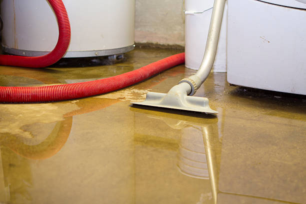 Best Mold removal after water damage  in Kennett, MO