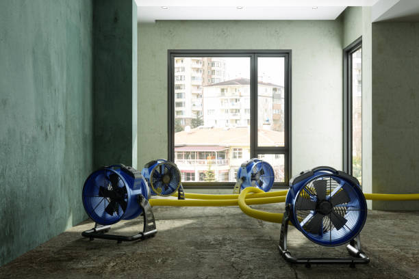 Best Ceiling water damage repair  in Kennett, MO