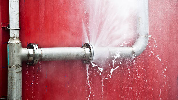 Best Water damage cleanup near me  in Kennett, MO